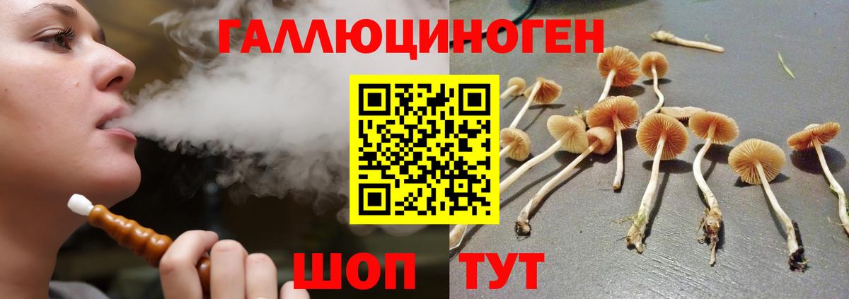 Псилоцибиновые грибы GOLDEN TEACHER  Вход с VPN  Псилоцибиновые грибы GOLDEN TEACHER  Майский 
